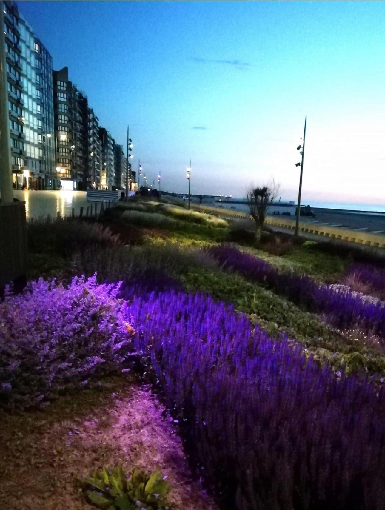 West-End Beach Middelkerke Εξωτερικό φωτογραφία